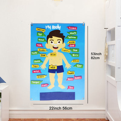 Montessori felt my body kids mural