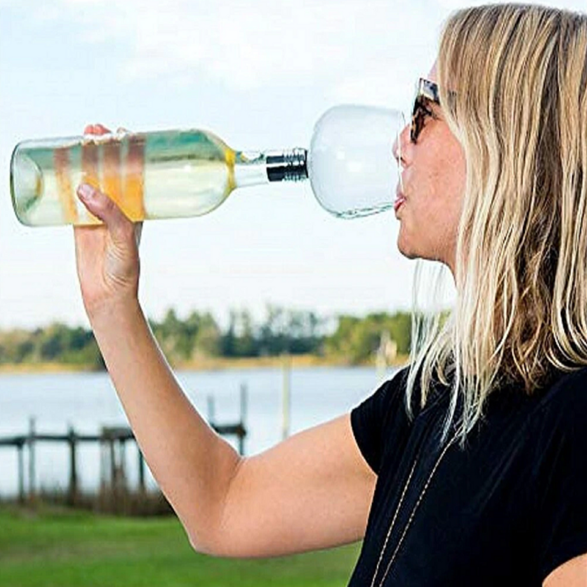 Glass Wine Bottle Attachment Winfinity Brands