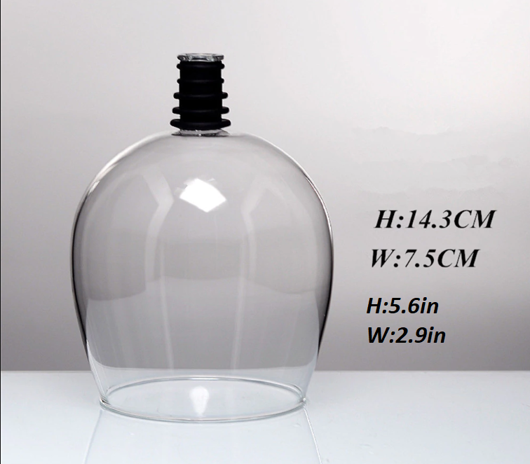 Glass Wine Bottle Attachment Winfinity Brands